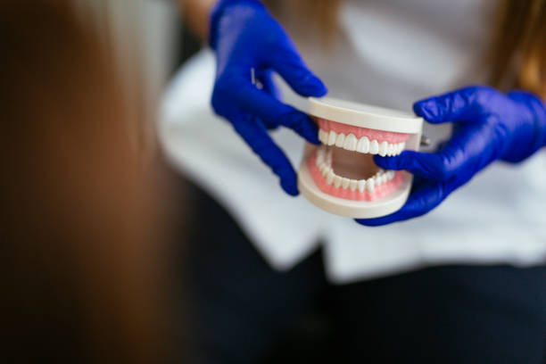 Trusted Perry, UT  Holistic Dental Services Experts
